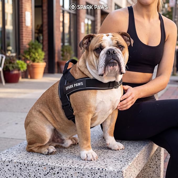 Spark Paws No Pull Front Clip Dog Harness - Easy On, Padded and Lightweight | Two Clips, On in Seconds, Chest Bearing, Australian Style, No Throat Pressure, for Small Medium and Large Breeds