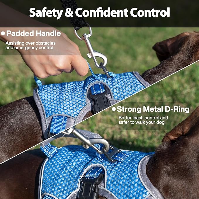 Escape Proof Dog Harness, Dachshund Harness, Reflective Dog Harness with Handle, Durable,Adjustable Vest for Small Medium Large Dogs Walking, Training, and Running Gear (Sea Blue,XL)