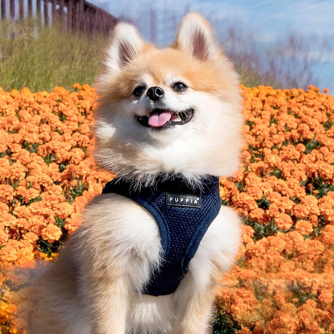 PUPPIA International PUAH305NYLG Soft Harness B Vest, Large, Navy