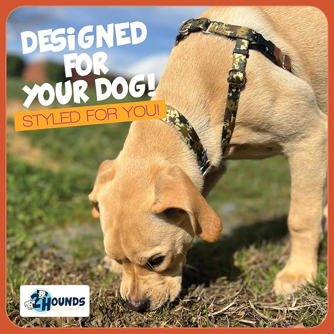 2 Hounds Design - Freedom No-Pull Harness & Training Leash in Green Mud | Dual Leash Loops, No Pulling on Walks | Lined to Prevent Chaffing | for Small Sized Dogs (Size S, Chest 20”- 24”)