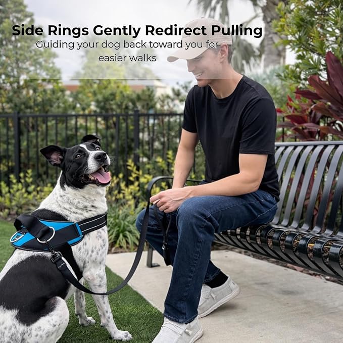 ShawnCo Essential Dog Harness, No-Pull Pet Vest (Sunset Orange,S) | 3 Leash Clips, Easy On, No-Choke, Reflective, Adjustable Fit, Padded Comfort, Control Handle, For Small, Medium & Large Dogs
