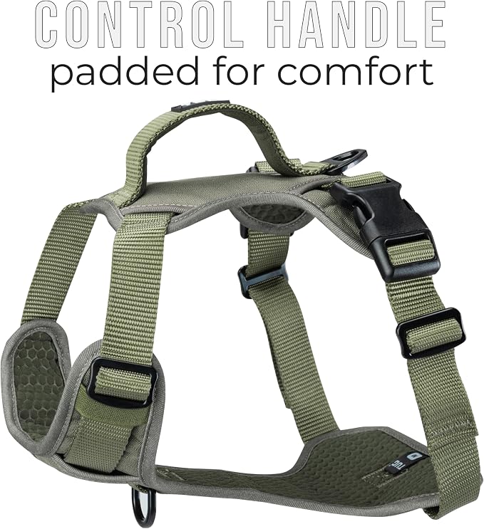 TUG No-Pull Dog Harness, 2 Leash Clips + Padded Handle (Medium, Green) | Water-Resistant Padded Interior | No-Pull Front Clip | Padded Back Handle | Adjustable Straps