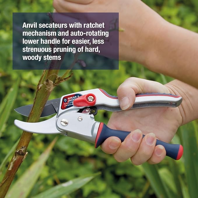 Spear & Jackson Razorsharp Ratchet Anvil Pruners with Twist Handle, Ergonomic High-Carbon Steel Blades for Effortless Pruning