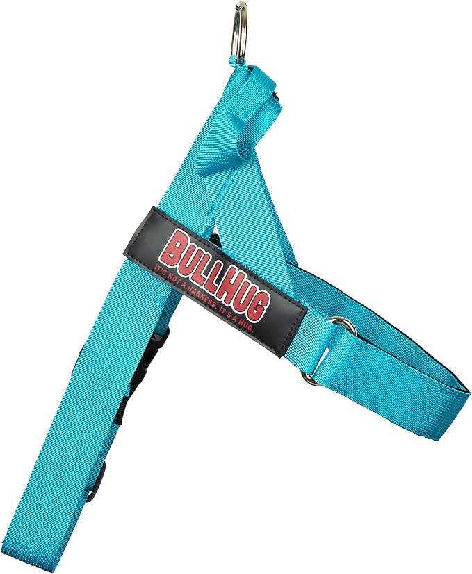 Adjustable Dog Harness– No Pull, No Choke – for English Bulldogs, French Bulldogs, Pugs & Broad-Chested Breeds – Easy, Safe Walks (Teal, Large)