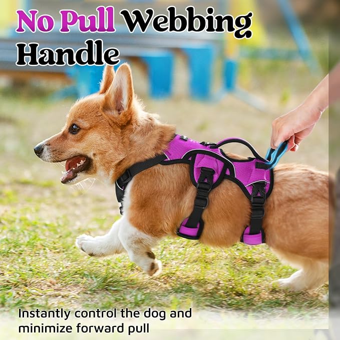 rabbitgoo Escape Proof Dog Harness for Small, No Pull with Lift Handle | No Escape, Full Soft Padded, Reflective Adjustable Vest, Leash Clip for Walking Hiking Training, Purple, Small