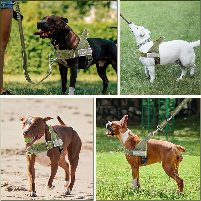 SlowTon No Pull Dog Harness with Front Clip - Heavy Duty, Soft Padded | Neck & Chest Adjustable, Tactical Pet Vest and Leash Set for Large Medium Sized Dogs, for Easy Walk & Training, Green S