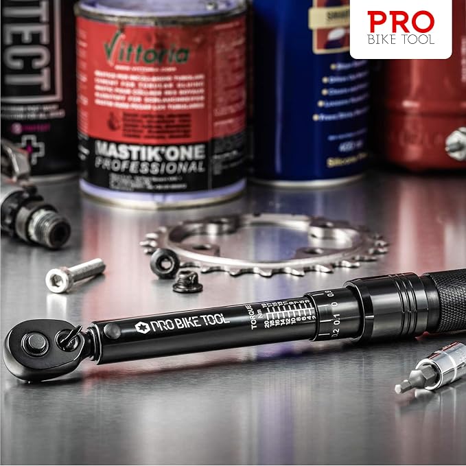 PRO BIKE TOOL Bike Torque Wrench Set - 1/4 Inch Drive, 2.2-16.9 Nm | 20-150 in-lb, Allen & Torx Bits, Extension Bar, Protective Storage Case