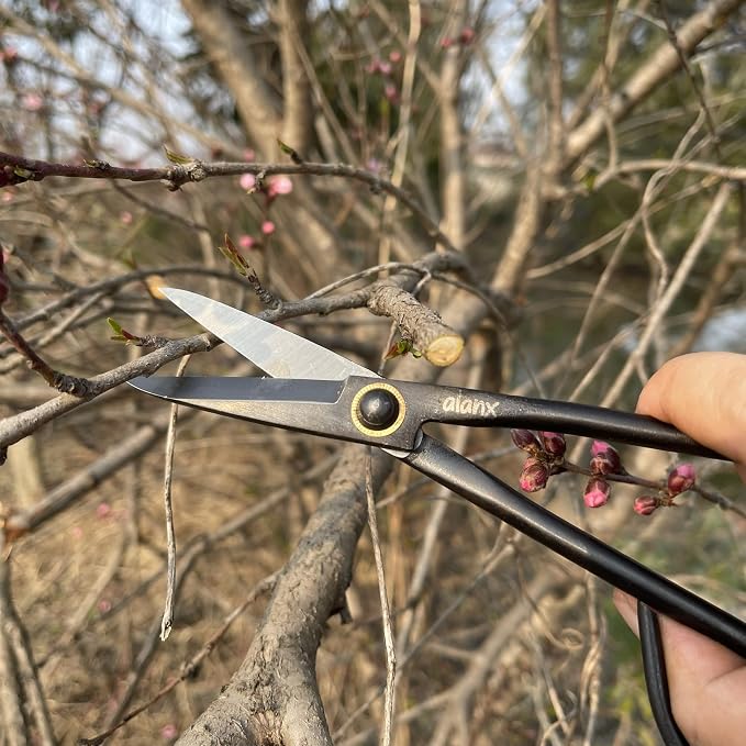 8 Inch Full-Steel Forged, Bonsai Small Branch Shears for Delicate Shoots and Leaves