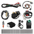 PRO BAT Full Electrics Wiring Harness Kit | for 50cc 70cc 90cc 110cc 125cc Chinese ATV Quad Bike 4 Wheeler SunL Baja Taotao JCL Coolster with CDI Coil Magneto Stator