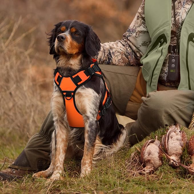 Orange Tactical Dog Harness for Extra Large Dogs,No Pull Dog Harness | Heavy Duty with Handle,Adjustable Reflective,Military K9 Style,Big Size Dog Vest,for Great Danen,for Walking Running Hunting