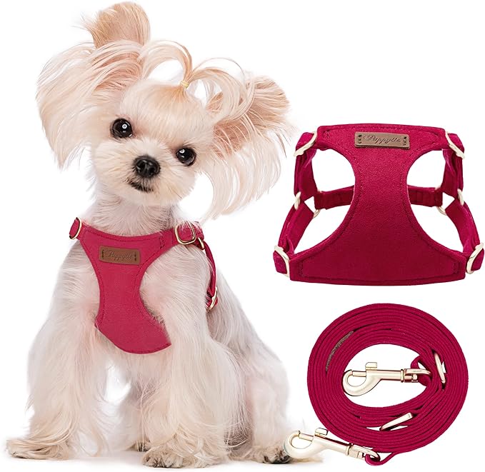 Puppytie XS Dog Harness and Leash Set, Red, XS (4.5-11 lbs) | Extra Small Dog Harness, Puppy Harness and Leash, Soft Lightweight and Adjustable, Xsmall Dog Harness for Daily Walks