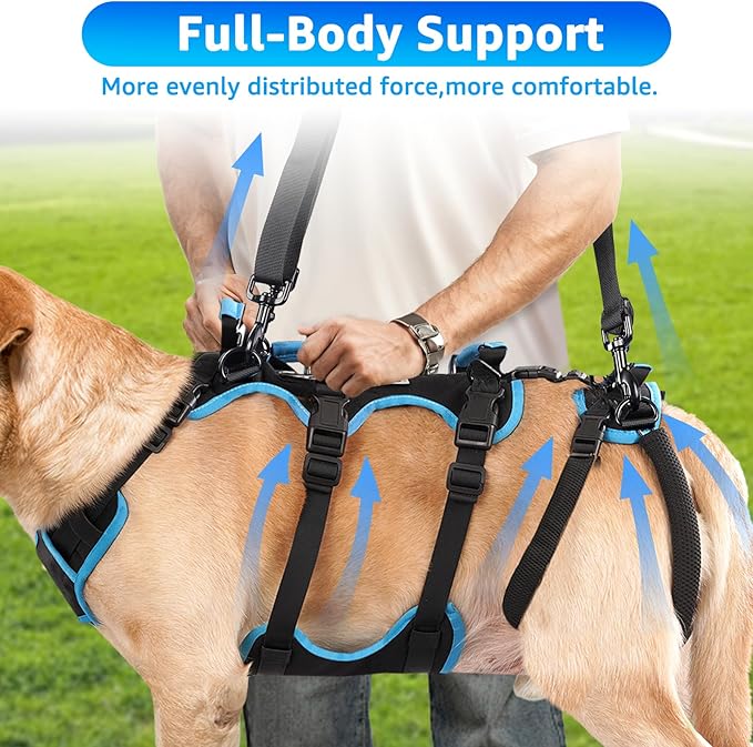 Dog Lift Harness for Extra Large Dogs, 2-in-1 Detachable Support Harness, Full Body Carrying with 4 Handles, Dog Sling for Large Dogs Hind Leg Support(Black, XX-Large)