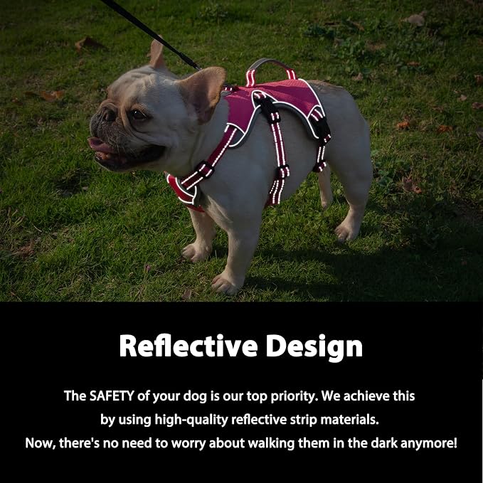 Escape Proof Dog Harness, Dachshund Harness, Reflective Dog Harness with Handle, Durable,Adjustable Vest for Small Medium Large Dogs Walking, Training, and Running Gear (Rose red,M)