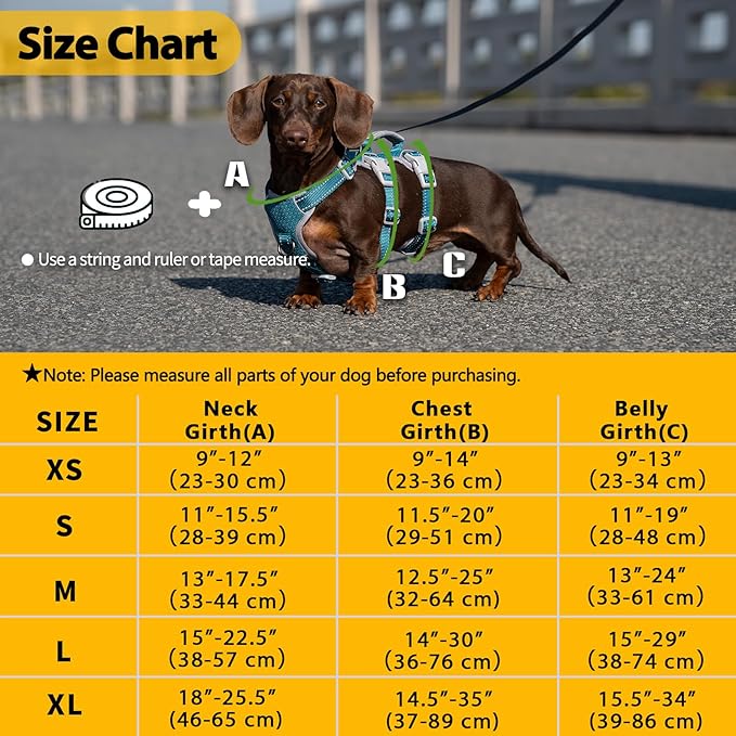 Escape Proof Dog Harness, No Pull Reflective Harness with Lift Handle, Adjustable Pet Vest with Front and Back Leash Clips for Small Medium Large Dogs Walking Hiking Training (Teal,XL)