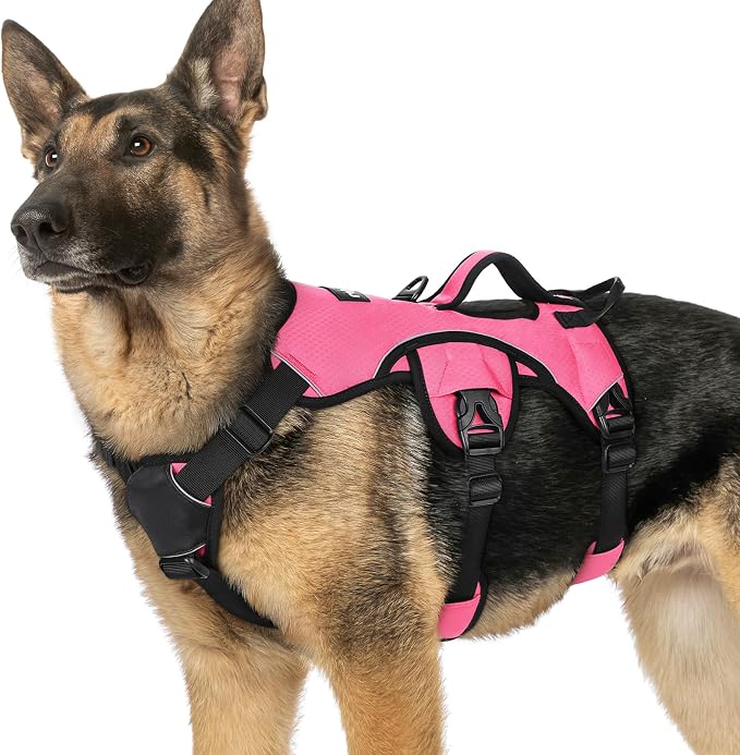 rabbitgoo Escape Proof Dog Harness for X-Large, No Pull with Lift Handle | No Escape, Full Soft Padded, Reflective Adjustable Vest, Leash Clip for Walking Hiking Training, Peach Pink, X-Large