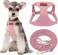 Puppytie Dog Harness and Leash Set, Pink, M (16.5-31 lbs) | Harness Small Size Dog, Dog Leash for Small Dogs, Soft Lightweight and Adjustable, Small Dog Harness for Daily Walks