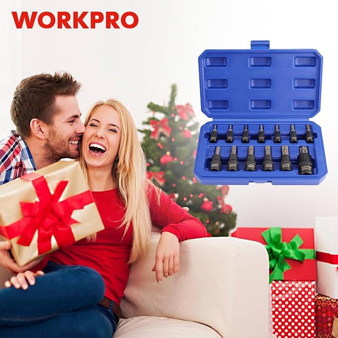 WORKPRO Torx Bit Socket Set, Premium S2 Bits & CR-V Sockets,13-Piece T8-T60