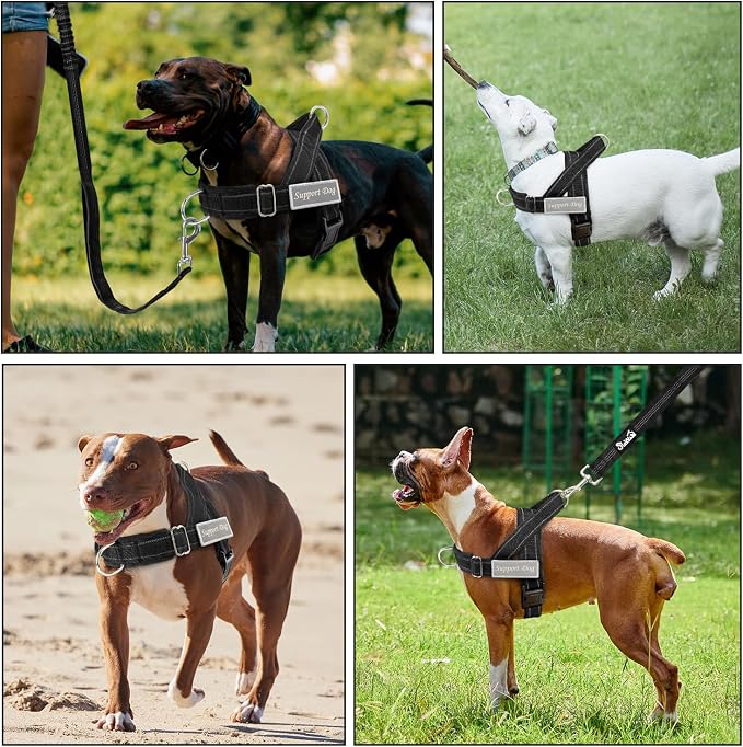 SlowTon No Pull Dog Harness with Front Clip - Heavy Duty, Soft Padded | Neck & Chest Adjustable, Tactical Pet Vest and Leash Set for Large Medium Sized Dogs, for Easy Walk & Training, Black L
