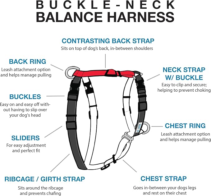Blue-9 Buckle-Neck Balance Harness, Fully Customizable Fit No-Pull Harness, Ideal for Dog Training and Obedience, Made in The USA, Red, Small