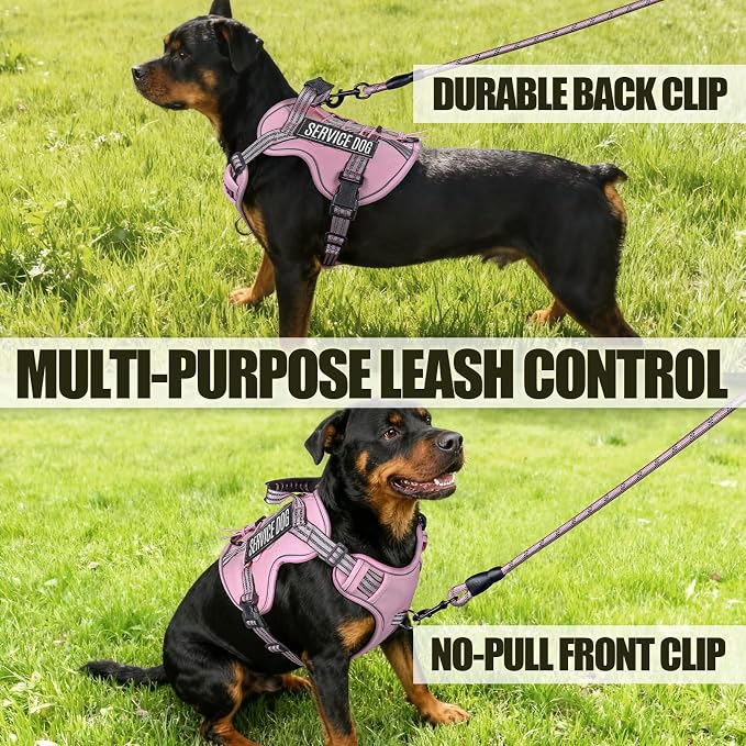 3-in-1 Dog Vest Harness Leash Set for Daily,Service,Training Animal Medium
