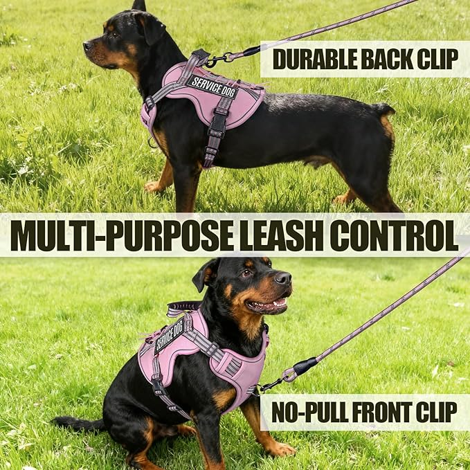 3-in-1 Dog Vest Harness Leash Set for Daily,Service,Training Animal Large