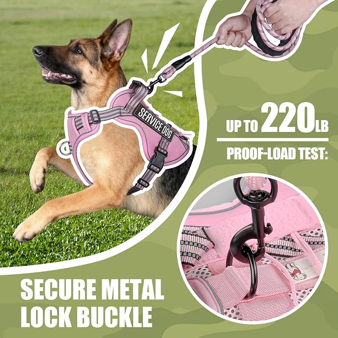 3-in-1 Dog Vest Harness Leash Set for Daily,Service,Training Animal Medium