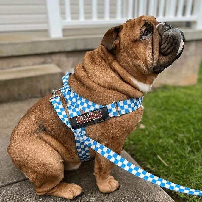 Adjustable Dog Harness– No Pull, No Choke – for English Bulldogs, French Bulldogs, Pugs & Broad-Chested Breeds – Easy, Safe Walks (Blue Checkers, Small)