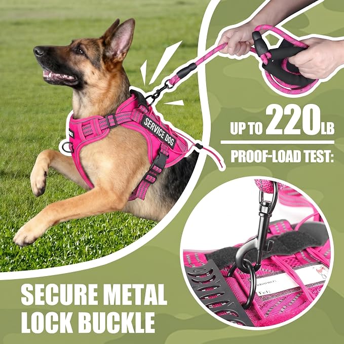 3-in-1 Dog Vest Harness Leash Set for Daily,Service,Training Animal Large