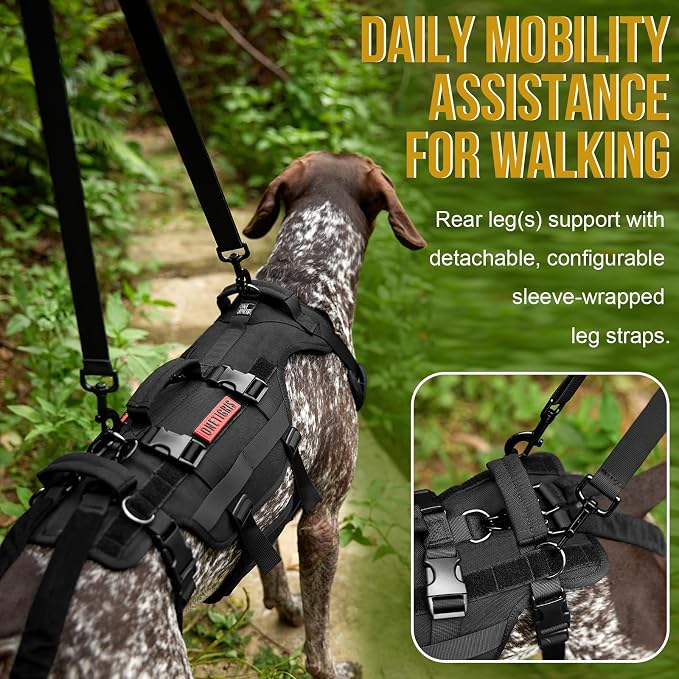 OneTigris Dog Lift Harness for Large Dogs, Dog Hip Support Brace, Full Body Lifter with Handles Invictus Multifunctional Mobility Assistance Vest for Back Legs (Black, Small)