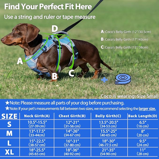 Escape Proof Dog Harness, Dachshund Harness, Reflective Dog Harness with Handle, Durable,Adjustable Vest for Small Medium Large Dogs Walking, Training, and Running Gear (Sea Blue,S)