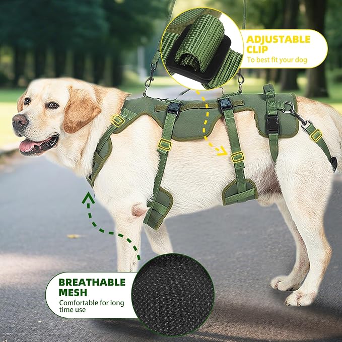 PUPTECK Dog Lift Harness for Medium Large Sized Dog, Rehabilitation Sling for Hind Leg Support, Multifunctional Mobility Assistance Harness for Old, Disabled, Joint Injuries, Paralysis Dogs, Green M