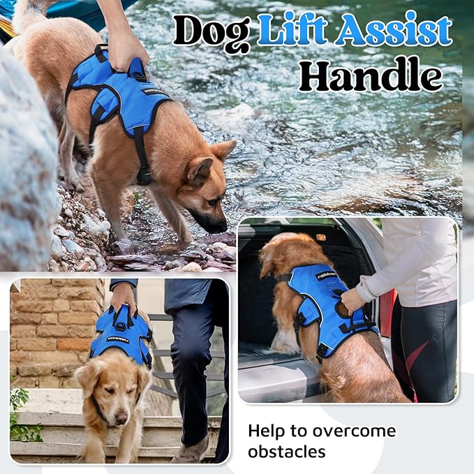 rabbitgoo Escape Proof Dog Harness for Large, No Pull with Lift Handle | No Escape, Full Soft Padded, Reflective Adjustable Vest, Leash Clip for Walking Hiking Training, Blue, Large
