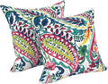 LVTXIII Outdoor Throw Pillows, Decorative Throw Pillows with Inserts, 16"x16" Square Pillows for Bed, Couch, Sofa and Patio Furniture, Set of 2, Vigour Paisley