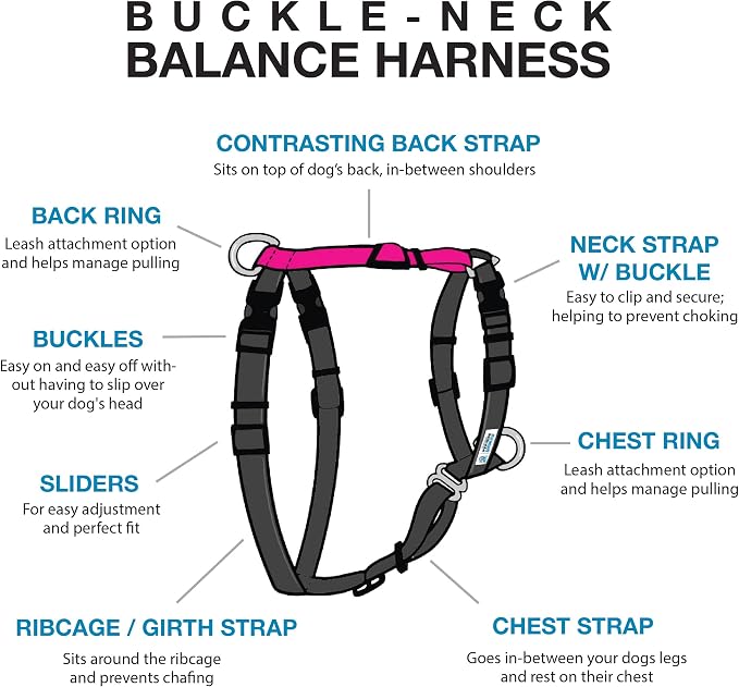 Blue-9 Buckle-Neck Balance Harness, Fully Customizable Fit No-Pull Harness, Ideal for Dog Training and Obedience, Made in The USA, Hot Pink, Small