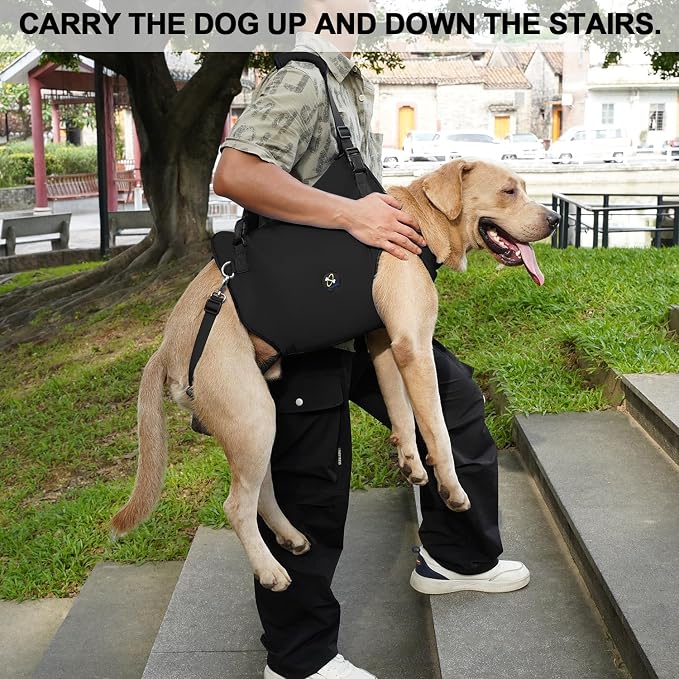 Coodeo Dog Lift Harness, Pet Support & Rehabilitation Sling Lift Adjustable Padded Breathable Straps for Old, Disabled, Joint Injuries, Arthritis, Loss of Stability Dogs Walk (Black, 2XL)