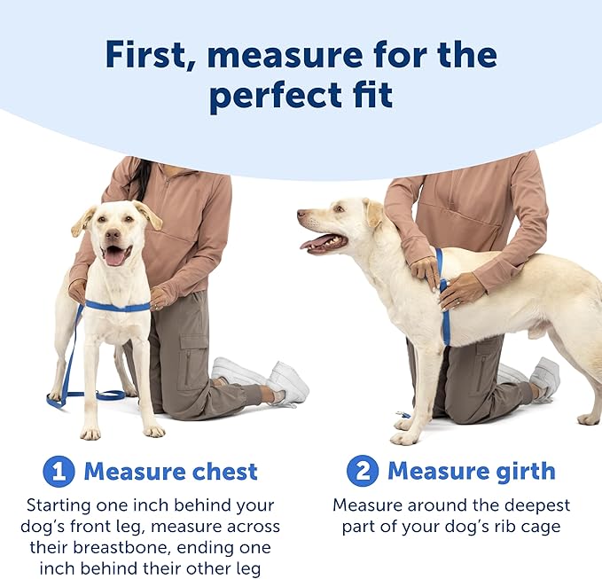 PetSafe Easy Walk Harness for Dogs - Pull-Free Walks - Patented Martingale Loop Design - Front Chest Leash Attachment - Comfort Straps - Breathable Harness Design - Medium, Red/Black | Patented Martingale Loop Gives Gradual Shoulder Pressure to Stop Pu...