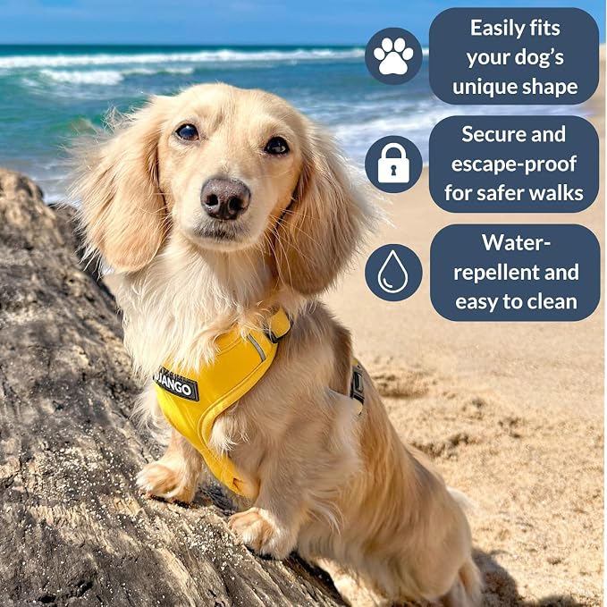 Adventure Dog Harness - Stylish Large Dog Harness for Outdoor Adventures and Everyday Wear - Dandelion Yellow Neoprene Adjustable Harness for Dogs with Reflective Piping and Solid Brass D-Ring