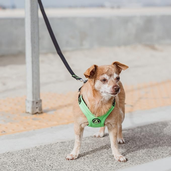 Gooby Escape Free Sport Dog Harness, Choke-Free, Lime, Large | Patented escape-free frame; Reduces choking; 4-point adjustment; Soft neoprene padding; Durable webbed straps