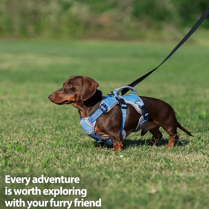 Escape Proof Dog Harness, Dachshund Harness, Reflective Dog Harness with Handle, Durable,Adjustable Vest for Small Medium Large Dogs Walking, Training, and Running Gear (Sea Blue,M)