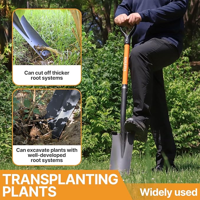 KOLEIYA Drain Spade, 45 Inch Heavy Duty Sharp Shooter Shovel with Fiberglass Handle, D-Grip Digging Shovel for Gardening, Planting, Trenching & Transplanting
