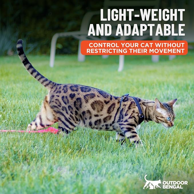 Houdini™ Escape Proof Cat Harness and Leash (Black, M/L) | Adjustable walking vest with 6ft lead, premium padded finish, snug secure fit, lightweight for travel and outdoor adventures