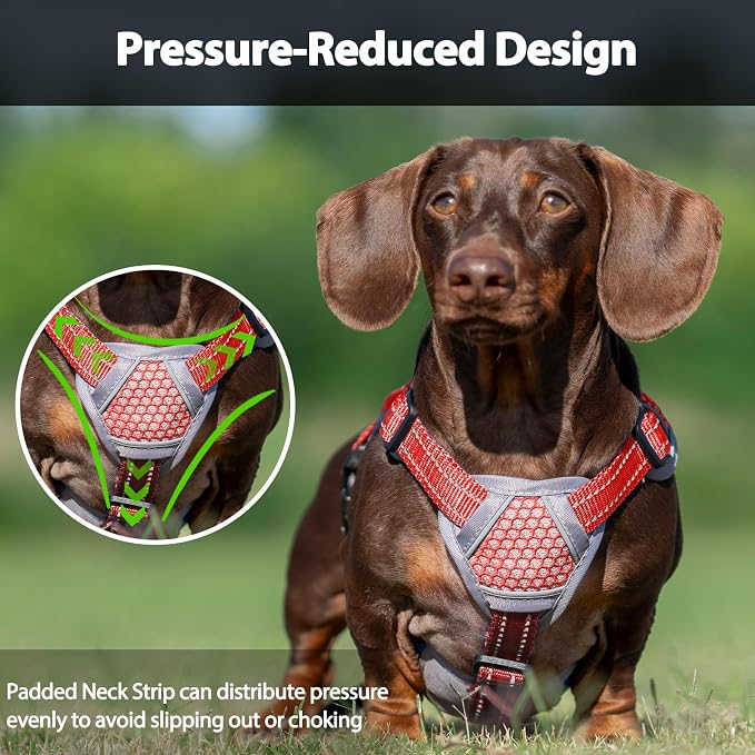 Escape Proof Dog Harness, Dachshund Harness, Reflective Dog Harness with Handle, Durable,Adjustable Vest for Small Medium Large Dogs Walking, Training, and Running Gear (Red,XL)