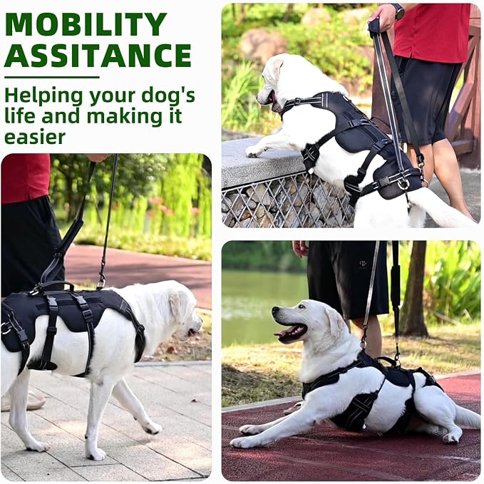 PUPTECK Dog Lift Harness for Medium Large Sized Dog, Rehabilitation Sling for Hind Leg Support, Multifunctional Mobility Assistance Harness for Old, Disabled, Joint Injuries, Paralysis Dog, Black XL