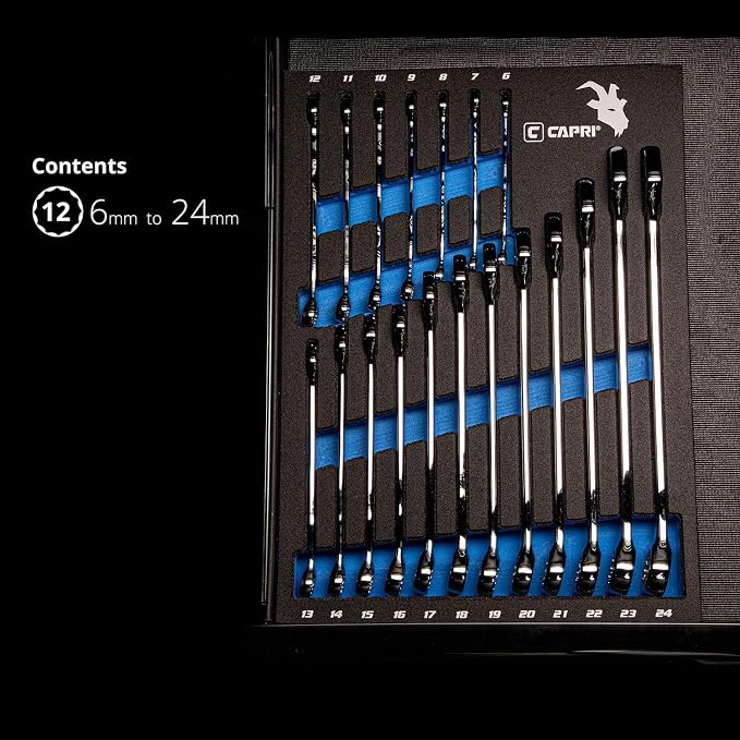 Capri Tools Combination Wrench Set with The Mechanic's Tray, Metric 6 to 24 mm, 19-Piece