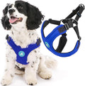 Gooby Escape Free Sport Dog Harness, Choke-Free, Blue, Large | Patented escape-free frame; Reduces choking; 4-point adjustment; Soft neoprene padding; Durable webbed straps