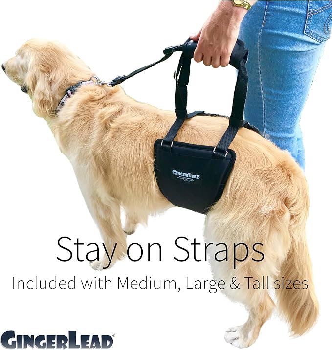 Dog Support Harness, Rear End Lift Sling, Tall Male, Made in USA | Fits Tall, Lean Dogs like Greyhounds or Great Danes, Padded Mobility Aid, Help Pets Walk or Balance, Machine Wash & Dry
