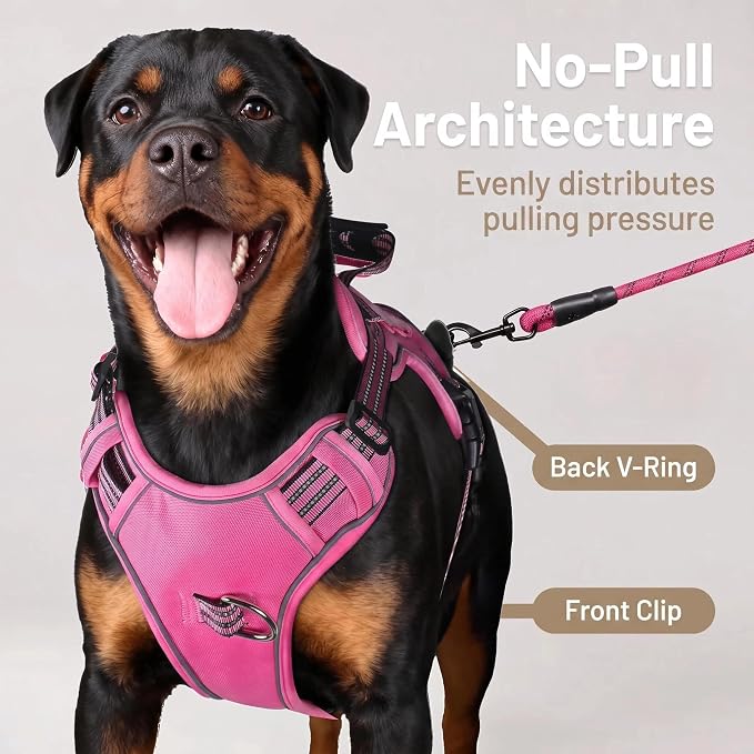 3-in-1 Dog Vest Harness Leash Set for Daily,Service,Training Animal Medium