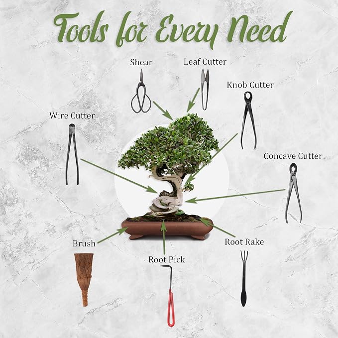 BambooMN Bonsai 10pc Advanced Care Set, Black Carbon Steel Tools, Shears, Concave & Knob Cutter, Wire Cutter, Trimming Scissor, Beginner Friendly