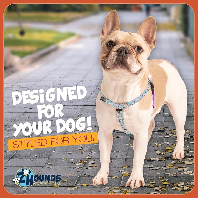 2 Hounds Design - Freedom No-Pull Harness & Training Leash in Pink and Blue | Dual Leash Loops, No Pulling on Walks | Lined to Prevent Chaffing | for Large Sized Dogs (Size L, Chest 28”- 32”)