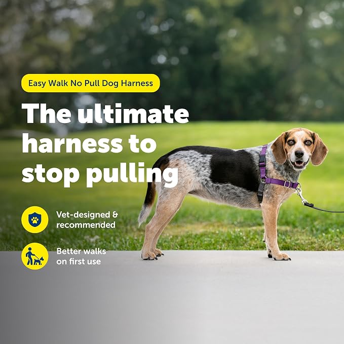 PetSafe Easy Walk Harness, No Pull Dog Harness, Deep Purple, Small/Medium | Patented Martingale Loop Gives Gradual Shoulder Pressure to Stop Pulling, Front-Chest Leash Clip Prevents Gagging